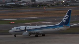 飛行機がたくさん！