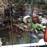 相変わらず小さいなりに異世界感のあるお庭