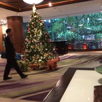 ロビーのクリスマスツリー夕方には片付けられていた