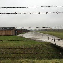 作物も作れない湿地帯だからこそ沢山の強制収容所が出来たのです