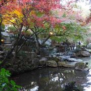 紅葉があう日本庭園