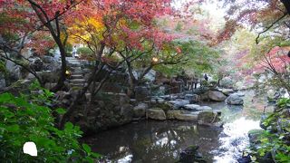 紅葉があう日本庭園
