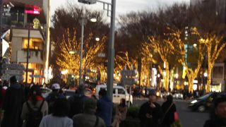 イルミネーション！！