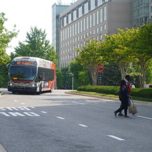 回送バスが多かったです