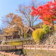 境内の紅葉がきれいでした