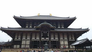 見応え充分な大仏