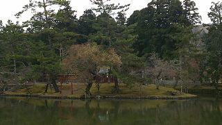 南大門をくぐってすぐ