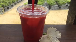 アセロラジュースが飲めます