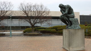 コスパはよいかも