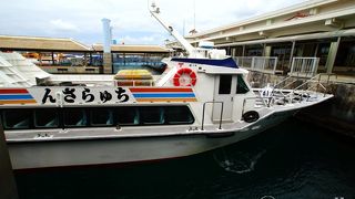 Web予約で5％引、日帰り観光ツアーも充実