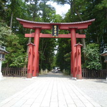 よく見ると鳥居が浮いています