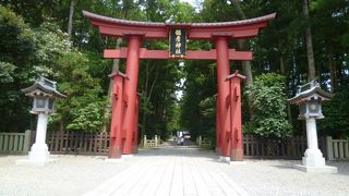 鳥居が浮いています