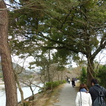 左は宇治川、右は平等院敷地