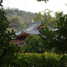 木々の茂みの奥に平等院鳳凰堂の屋根が見える