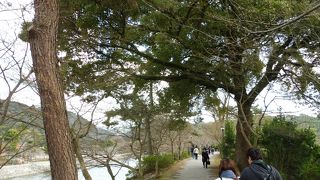 実はお金をかけなくても平等院を・・・