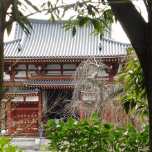 木々の間から鳳凰堂中央の阿弥陀如来坐像様だって見える？