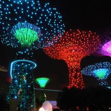 夜の光と音楽のショー