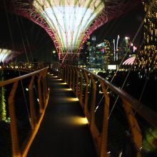 夜の展望通路。有料です。