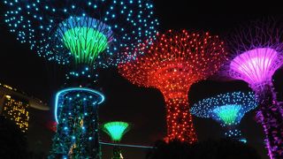 夜のショーが素晴らしい