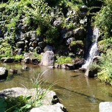 道志川温泉　紅椿の湯 