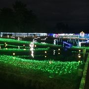 国営アルプスあづみの公園 イルミネーション