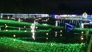 国営アルプスあづみの公園 イルミネーション