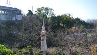 サル山がある。