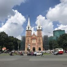 色合いもきれい