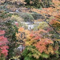 部屋からの紅葉