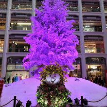 店の場所は１階の広場の角にあります。