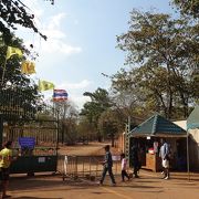 Wat Pha Luang Ta Bua ワット・パ・ルアンダ・ブア Tiger Temple タイガー・テンプル