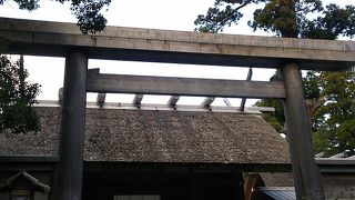 木々に囲まれた神秘的な場所