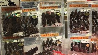 店頭にナマコがいたのよ