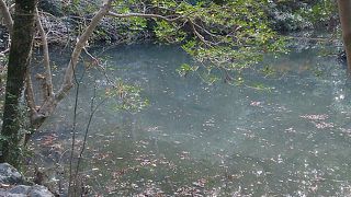 季節を感じられる池