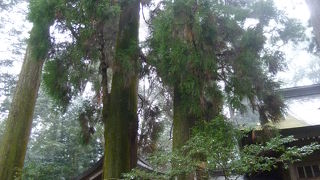 久しぶりに手を繋ぎませんか