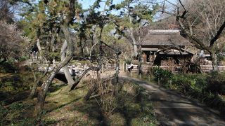 三溪園にて唯一の由来不明な建物