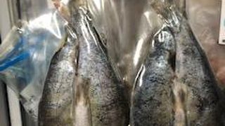 食材を買い出しに