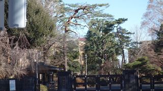 大学通り沿いの大きなキャンパス