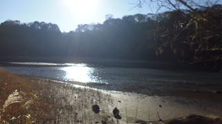 小網代の森の先