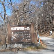 野鳥の森