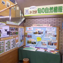 奥多摩の自然情報