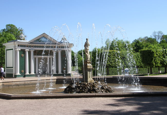 後ろ姿しか見れなかった。