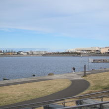 レイクタウンの レイク は湖じゃなくて池だった By かつのすけ 大相模調節池のクチコミ フォートラベル