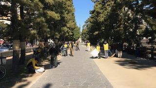 想像以上に美しい遊歩道