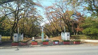 手ぶらでバーベキュー