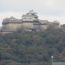くるりんから松山城を見ています