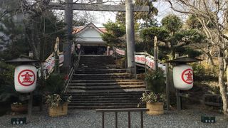 海の向こうに愛知県が見えます