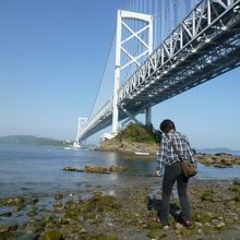 海岸から見た橋