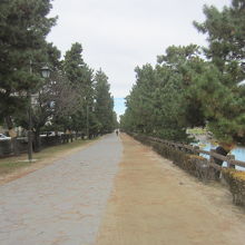 草加松原の遊歩道