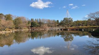 真ん中に池がある回遊式の日本庭園